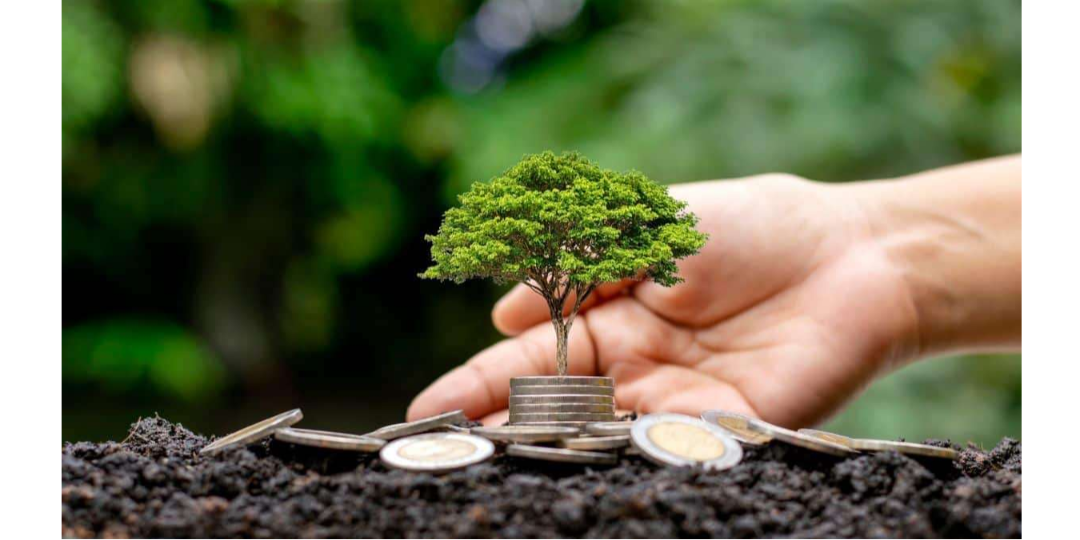 Rappresentazione visiva dell'articolo: Investimenti Sostenibili: il Tuo Vantaggio Competitivo